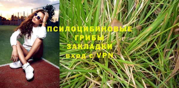 винт Михайлов